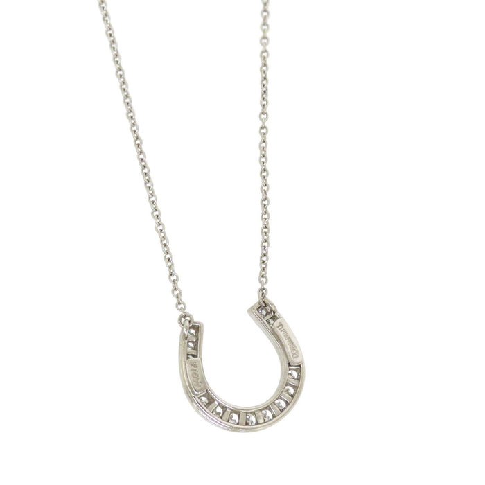 TIFFANY&Co. 
Horseshoe necklace