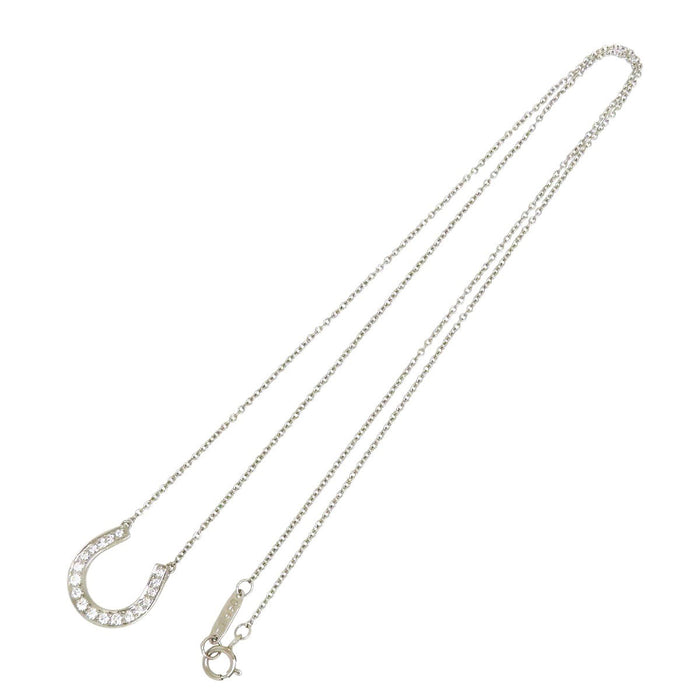 TIFFANY&Co. 
Horseshoe necklace