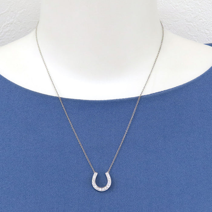 TIFFANY&Co. 
Horseshoe necklace