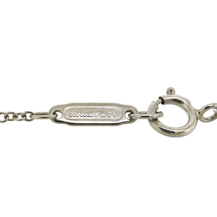 TIFFANY&Co. 
Horseshoe necklace