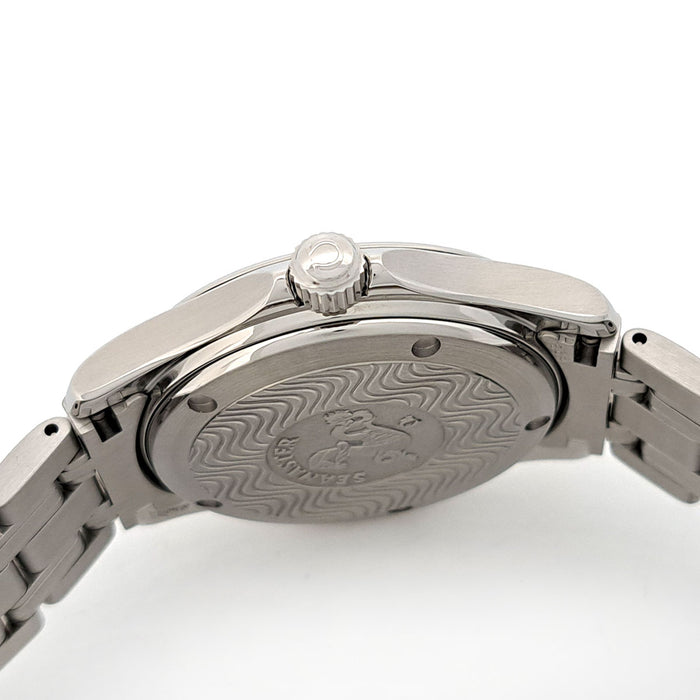 OMEGA 
Seamaster 120M 
Includes box and guarantee card