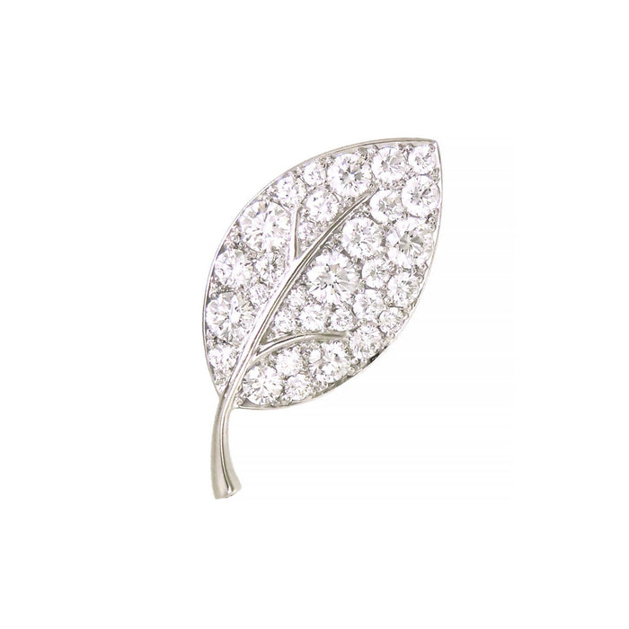 Gimel 
Broche feuille