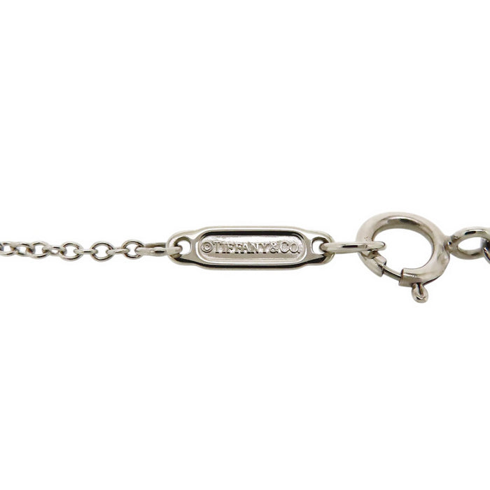TIFFANY&Co. 
Chain Necklace