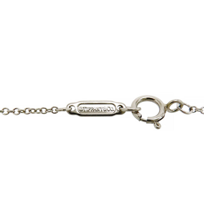 TIFFANY&Co. 
Solitaire Necklace