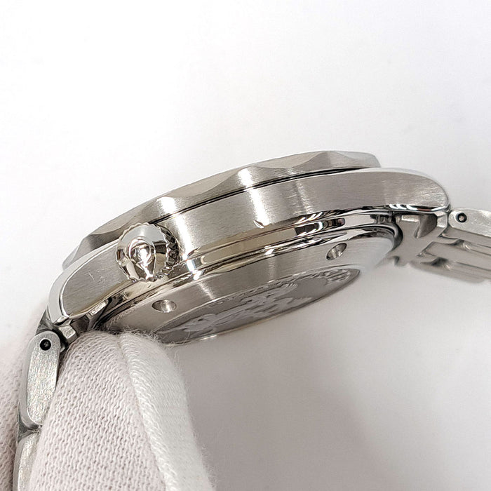 OMEGA 
シーマスター プロフェッショナル