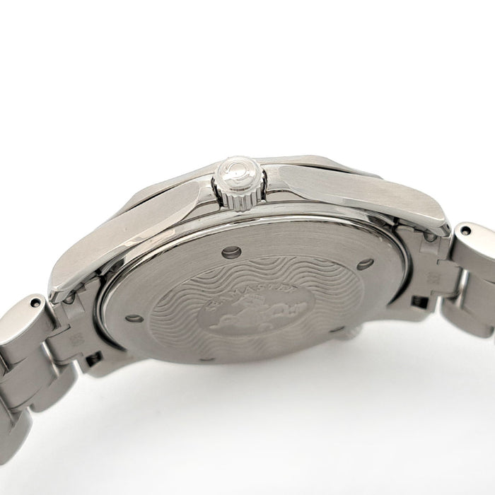 OMEGA 
シーマスター プロフェッショナル 300 
箱ギャラ付
