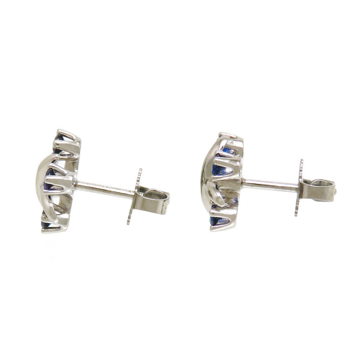 TIFFANY&Co. 
Sixteen Stone Earrings