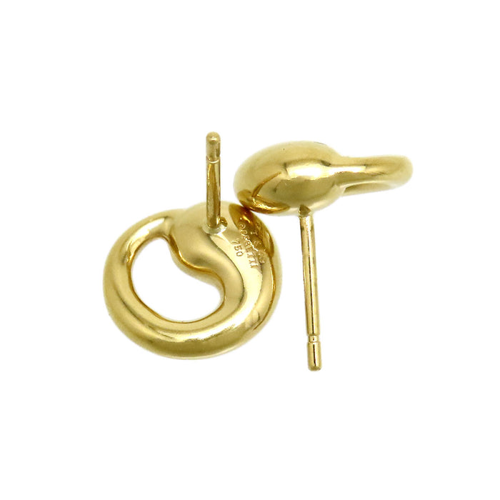TIFFANY&Co. 
Eternal Circle Earrings, No Backs