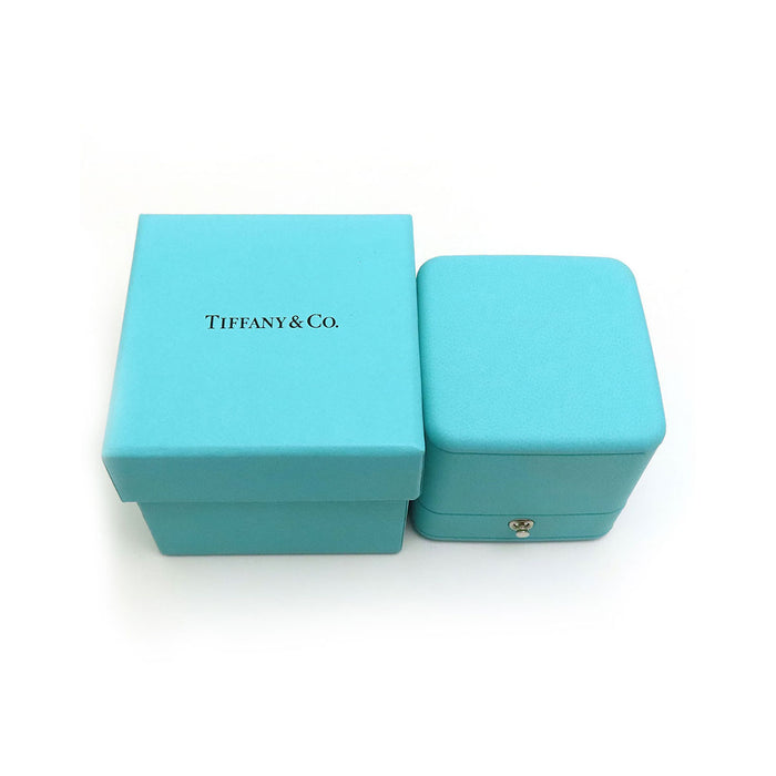 TIFFANY&Co. 
ダブルリングケース